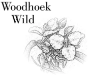 Woodhoek Wild.webp- cropped